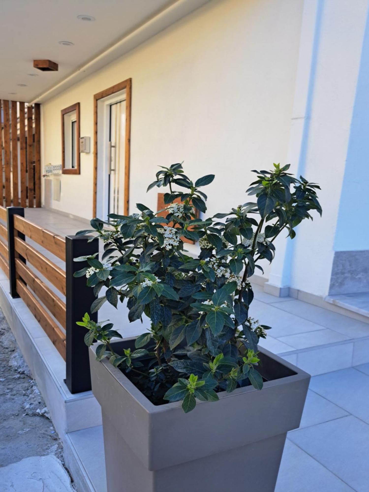 Ithaca Σπίτι Με Αυτόνομη Είσοδο Διαμέρισμα Θεσσαλονίκη Εξωτερικό φωτογραφία